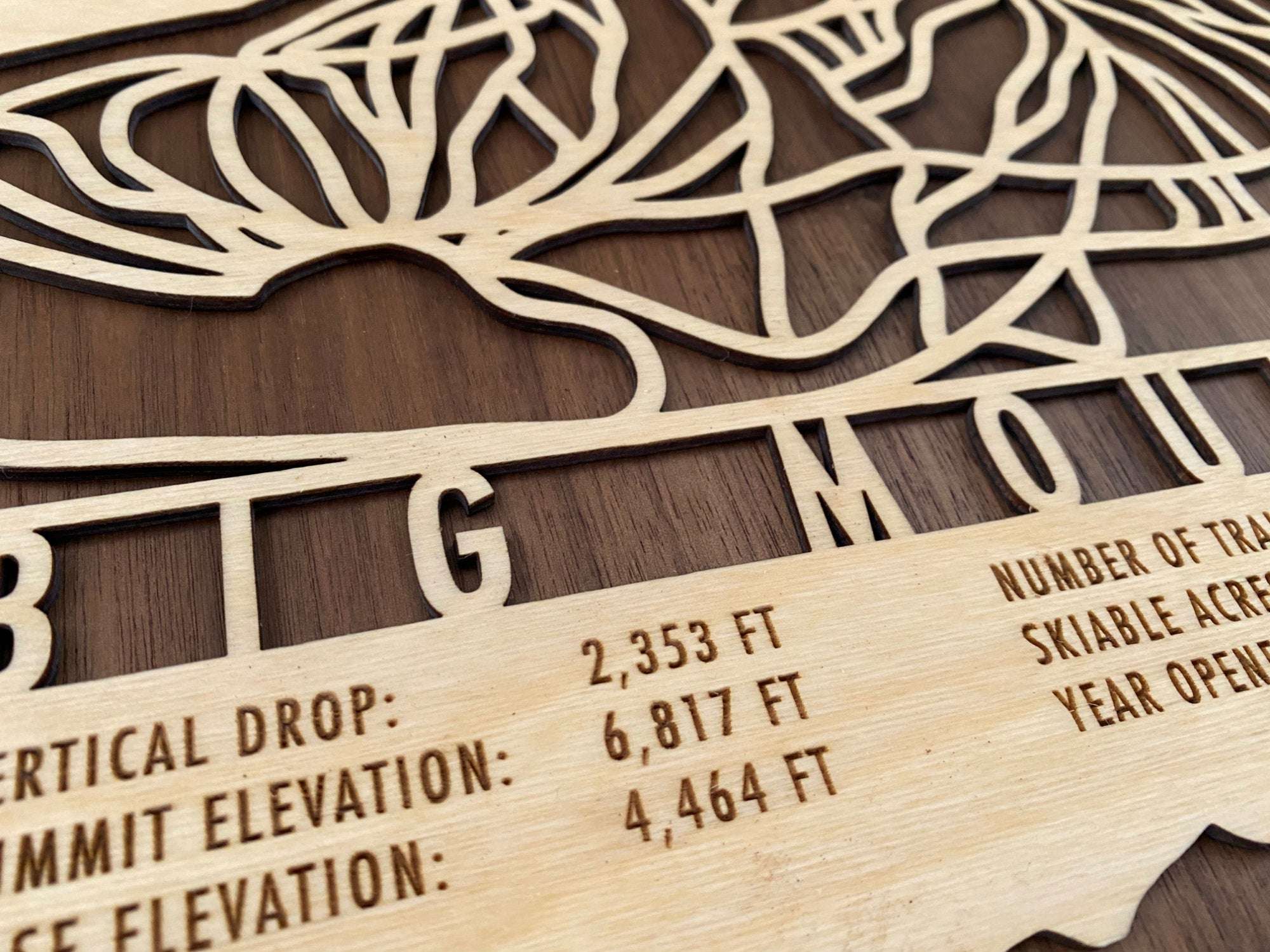 Big Mountain Ski Trail Map by Mountaincut - Close-up of engraved trail names and elevation details on precision-cut wooden ski map artwork.