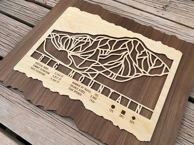 Big Mountain Trail Map - Montana - Mountaincut