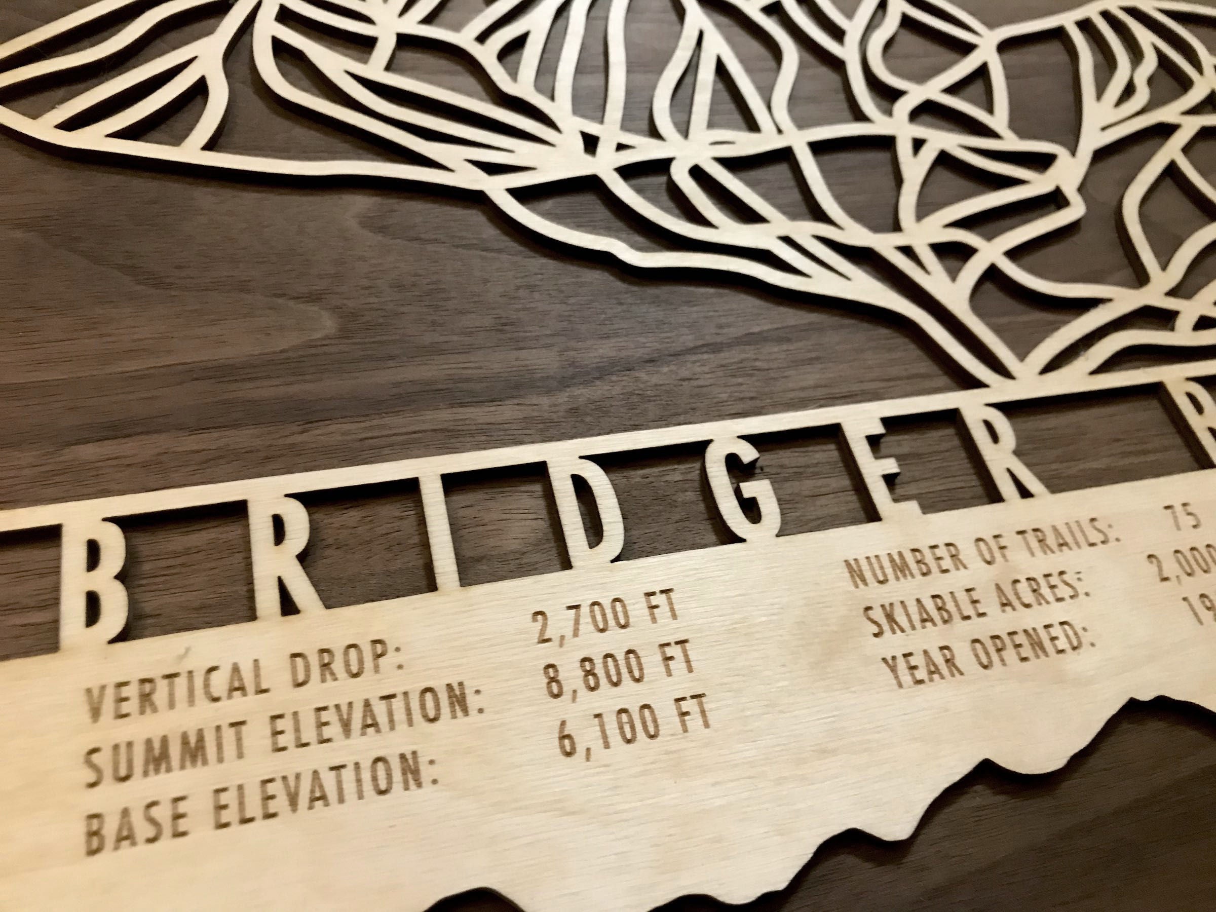 Bridger Bowl Ski Trail Map