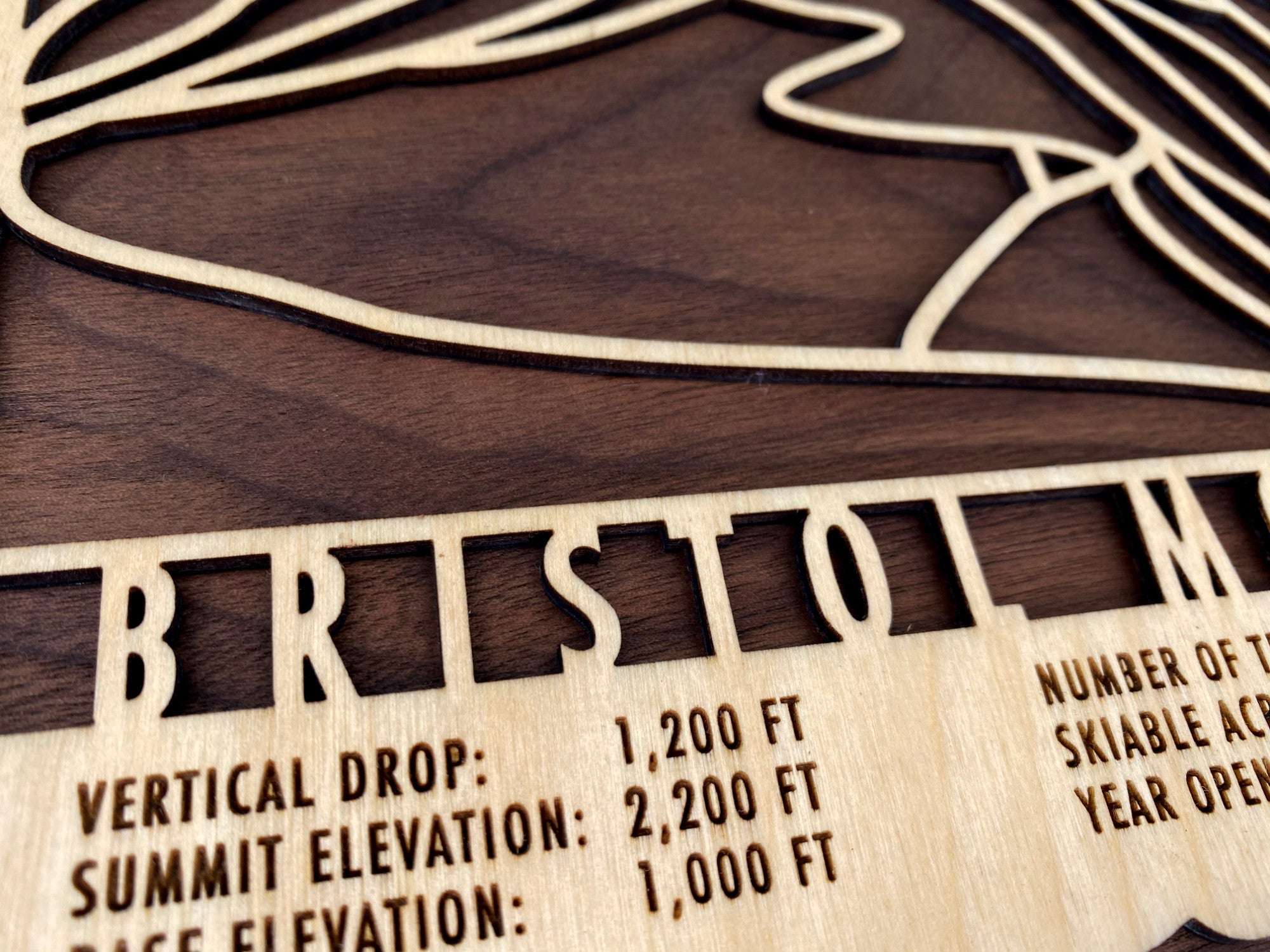 Close-up of Bristol Mountain wood ski map showing engraved trail names and resort stats, a unique piece of ski-themed wall art.