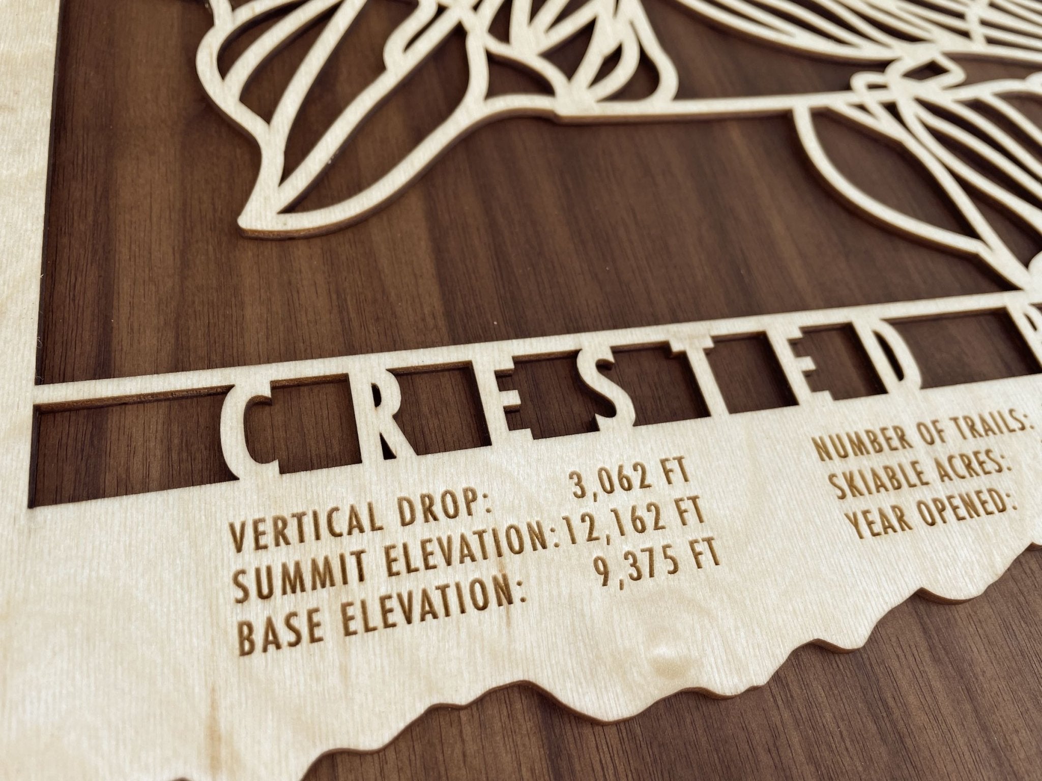 Detailed engraving on Crested Butte Trail Map - Ski Decor - Mountaincut showing vertical drop, summit, and base elevation.