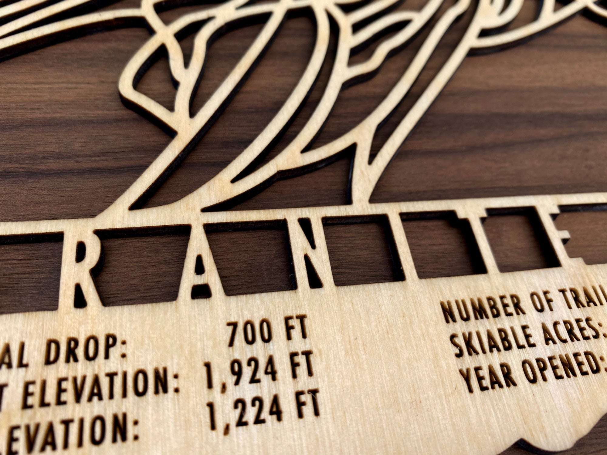 Granite Peak Trail Map - Wall Decor - MountainCut close-up of engraved wooden ski map showing detailed text and precision laser-cut design.