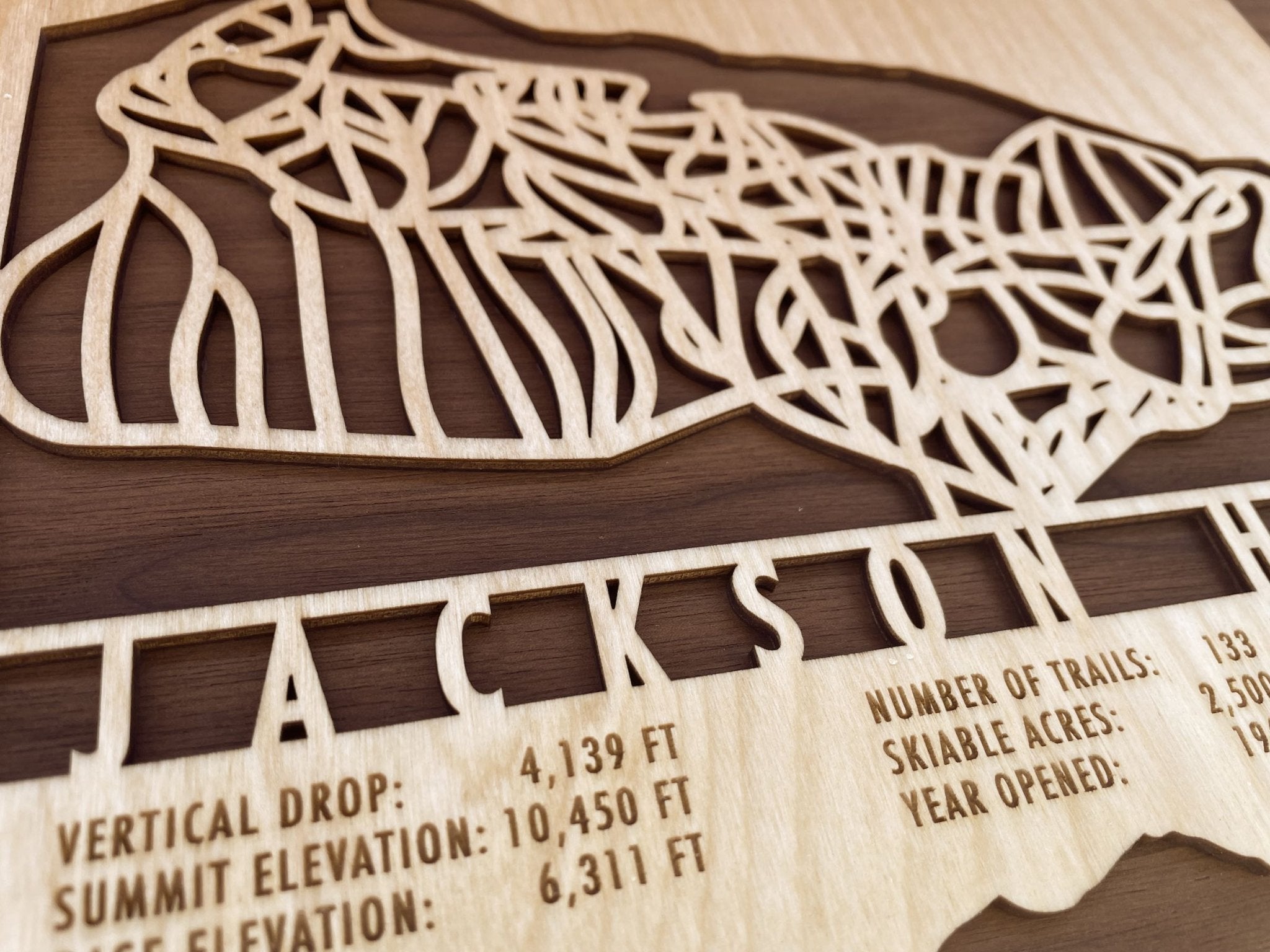 Jackson Hole Trail Map - Wyoming - Mountaincut
