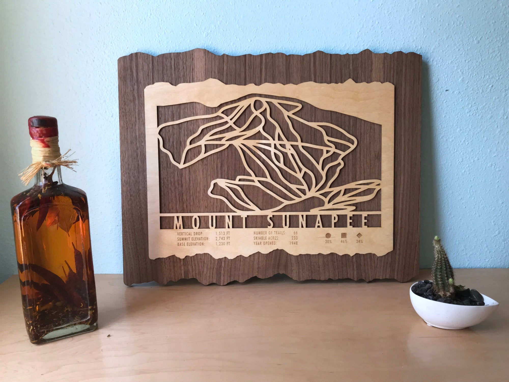 Mount Sunapee wooden ski trail map displayed on shelf with bottle and cactus, stylish ski decor for home, lodge, or office space.