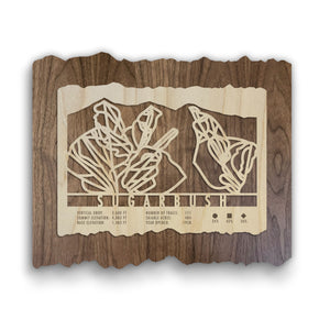 Sugarbush ski trail map wood wall decor