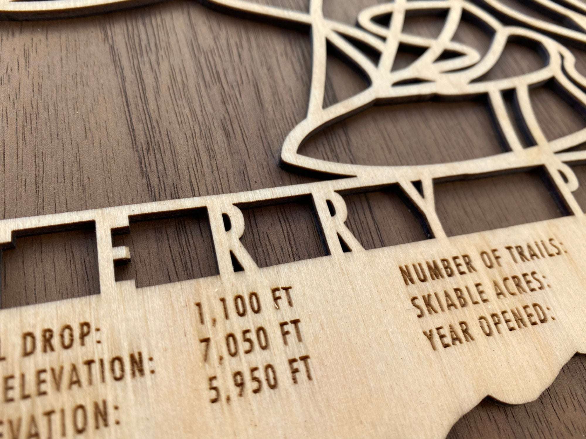 Close-up of Terry Peak Ski Trail Map - Wood Wall Decor by Mountaincut highlighting engraved trail names and ski area specifications.