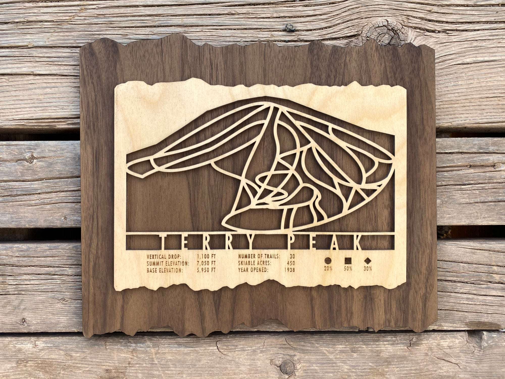 Mounted Terry Peak Ski Trail Map by Mountaincut on wooden planks, showcasing ski trail layout and mountain stats.