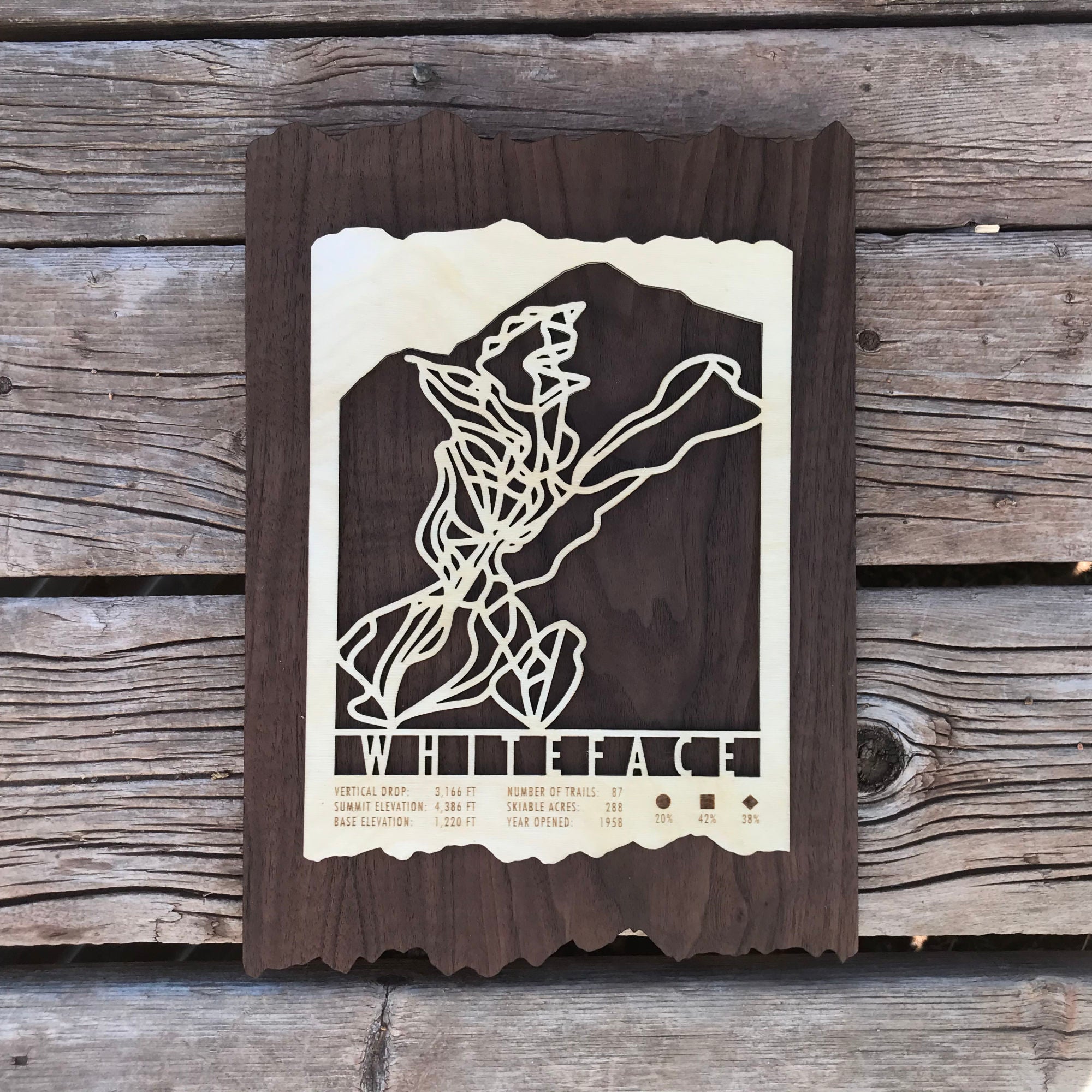 Whiteface Ski Trail Map