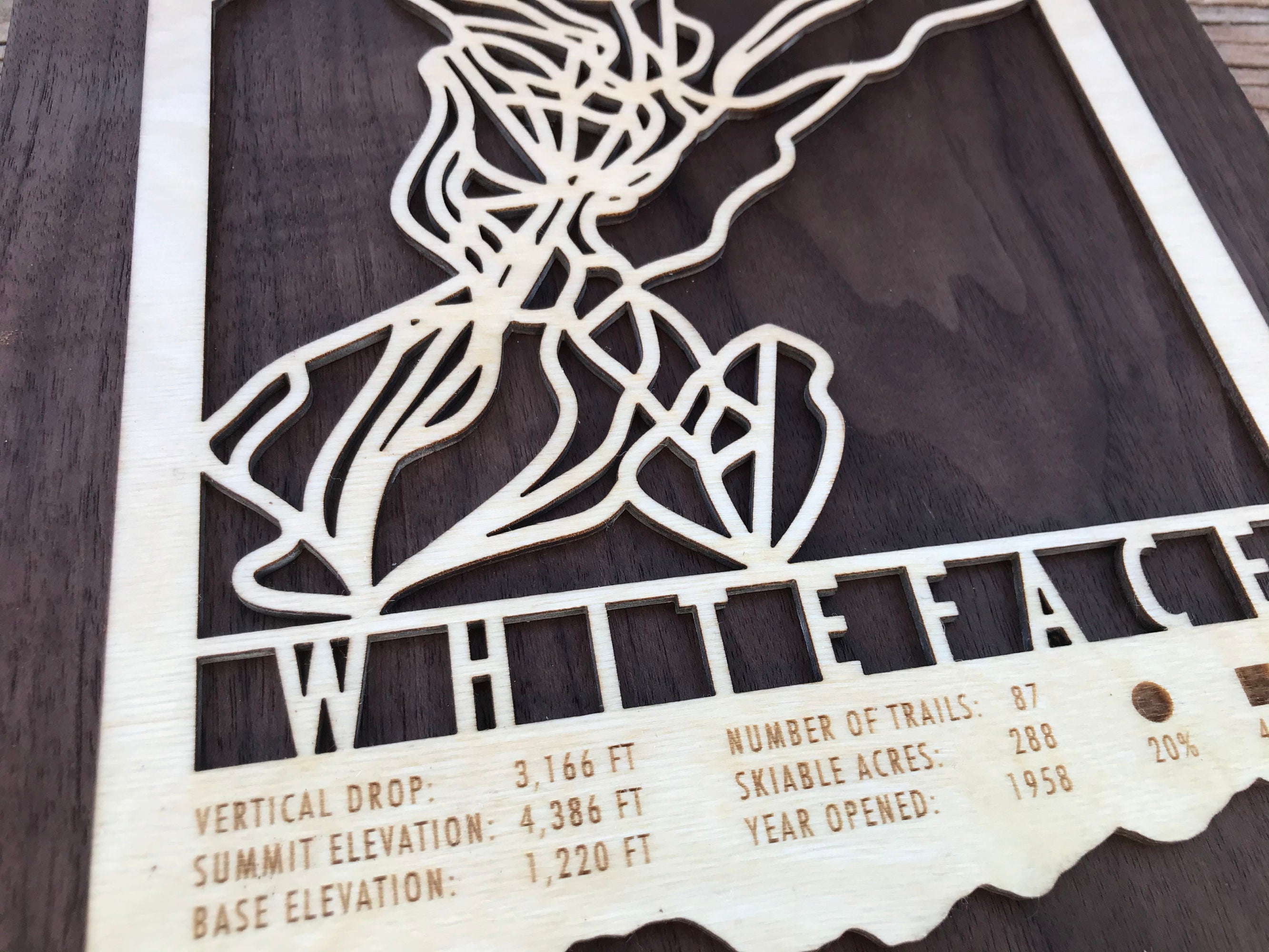 Whiteface Ski Trail Map