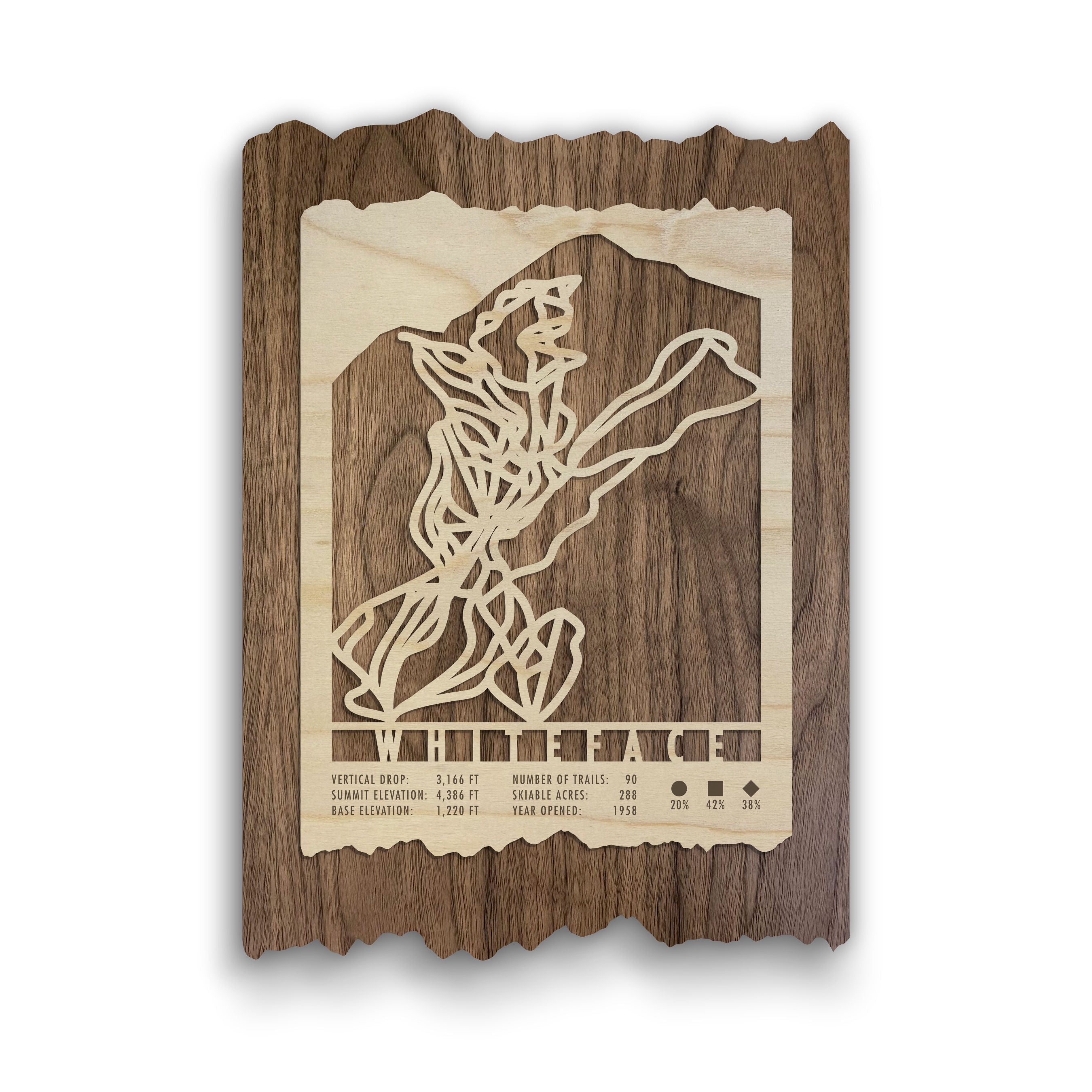 Whiteface Ski Trail Map
