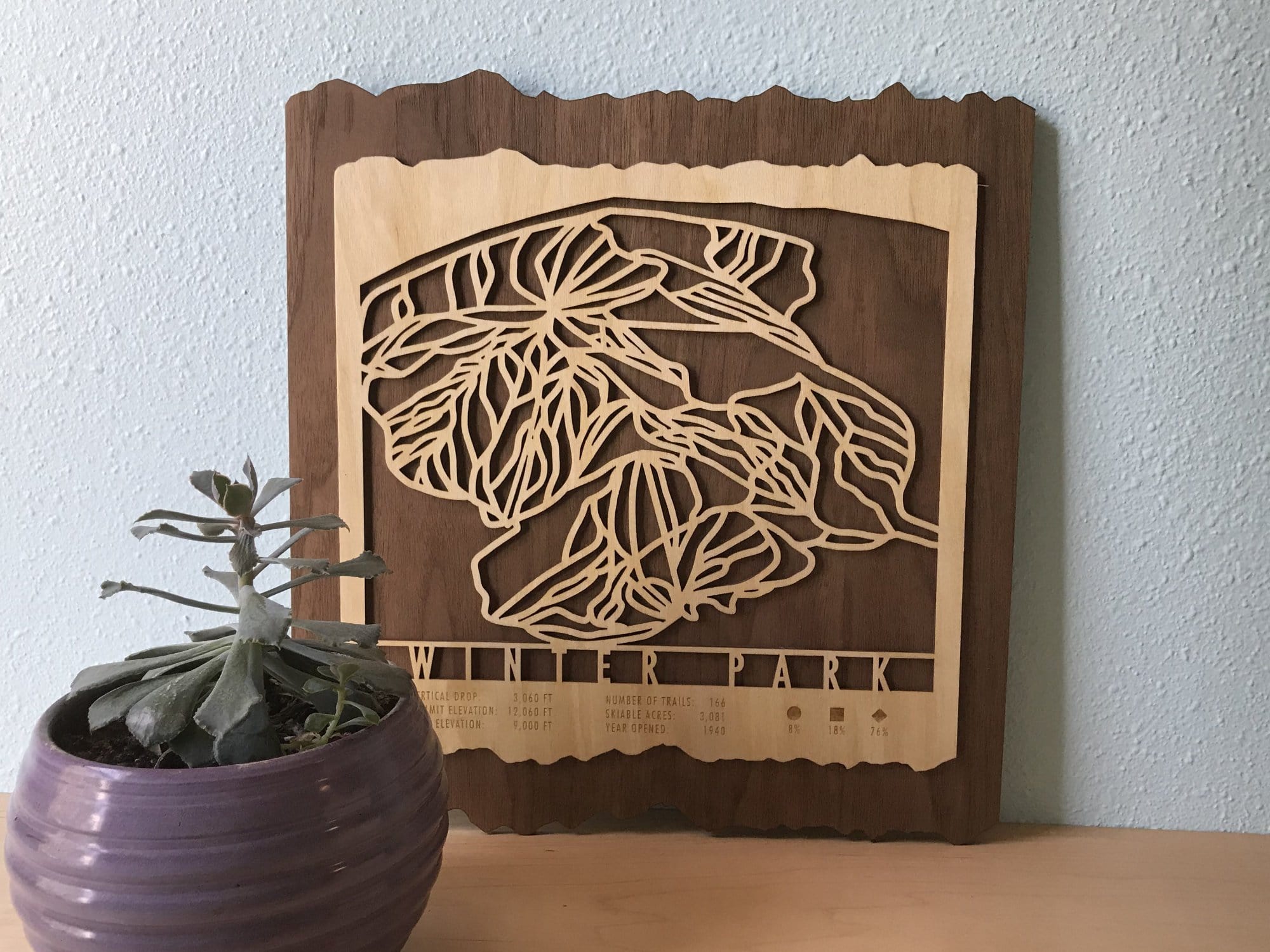 Winter Park Ski Trail Map - Wood Ski Decor - Mountaincut displayed on a shelf with plant, perfect rustic wall art for home or ski cabin decor.