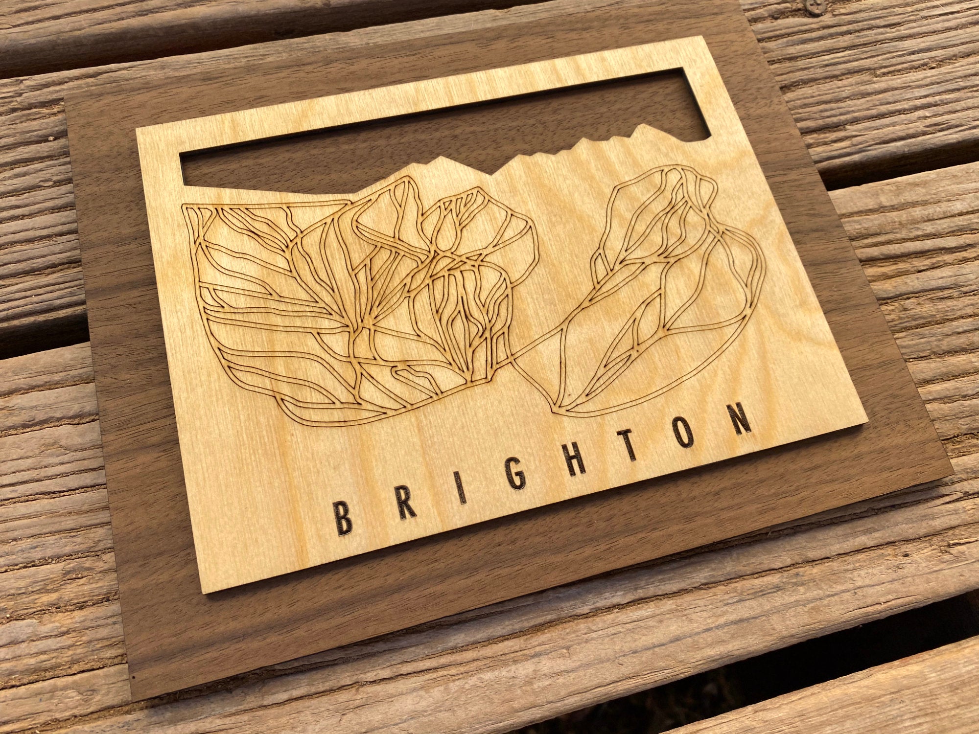 Small Brighton Trail Map