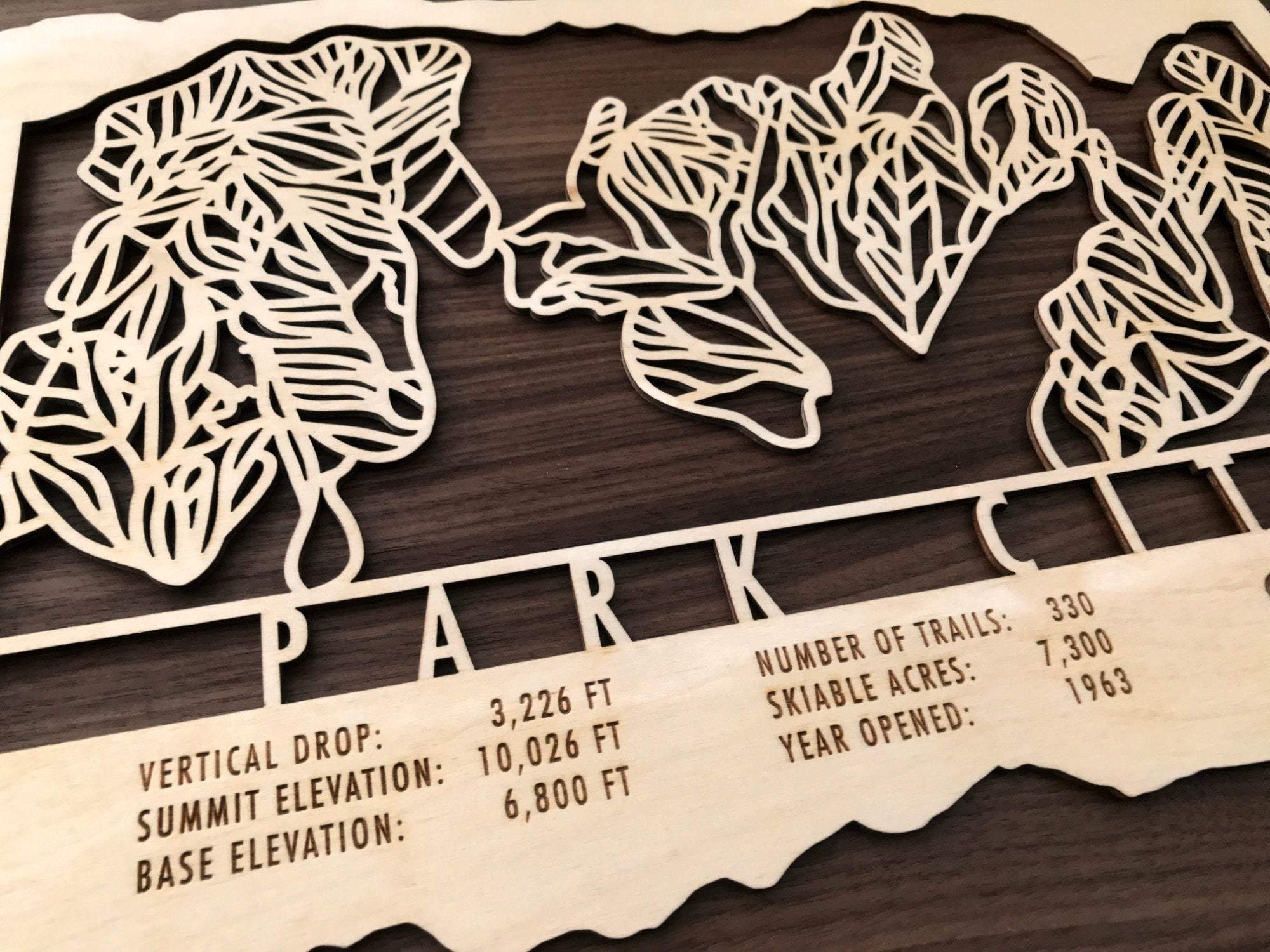 Park City Ski Decor Trail Map Art - MountainCut