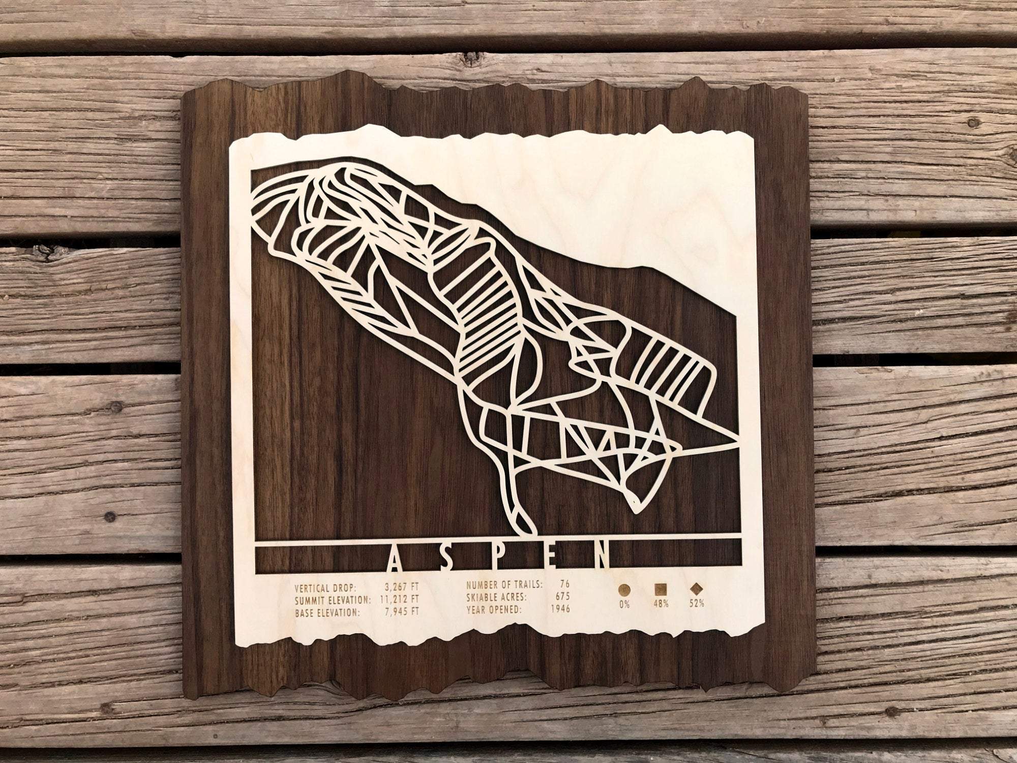 Aspen Ski Decor Trail Map Art - MountainCut