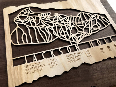 Jackson Hole Ski Decor Trail Map Art - MountainCut
