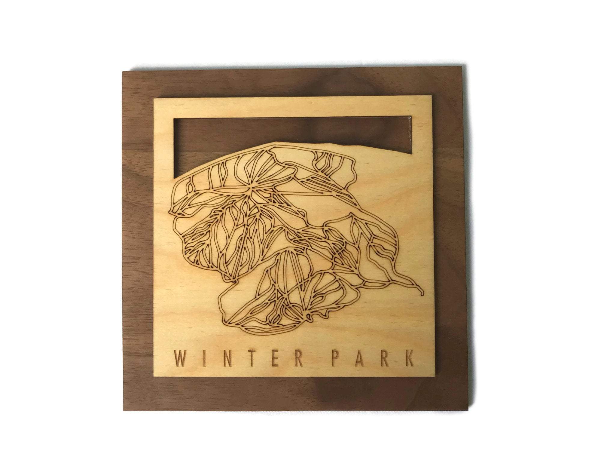 Winter Park Wooden Ski Decor Snowboard Ski Art | Winter Park Colorado | Housewarming Ski House Decor Ski Gifts - MountainCut