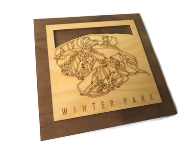 Winter Park Wooden Ski Decor Snowboard Ski Art | Winter Park Colorado | Housewarming Ski House Decor Ski Gifts - MountainCut
