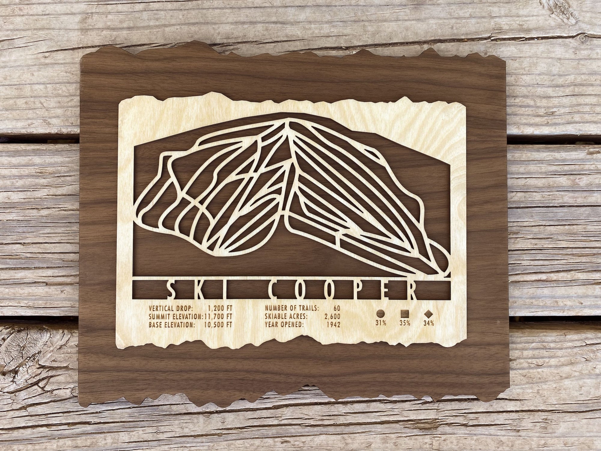 Ski Cooper Trail Map