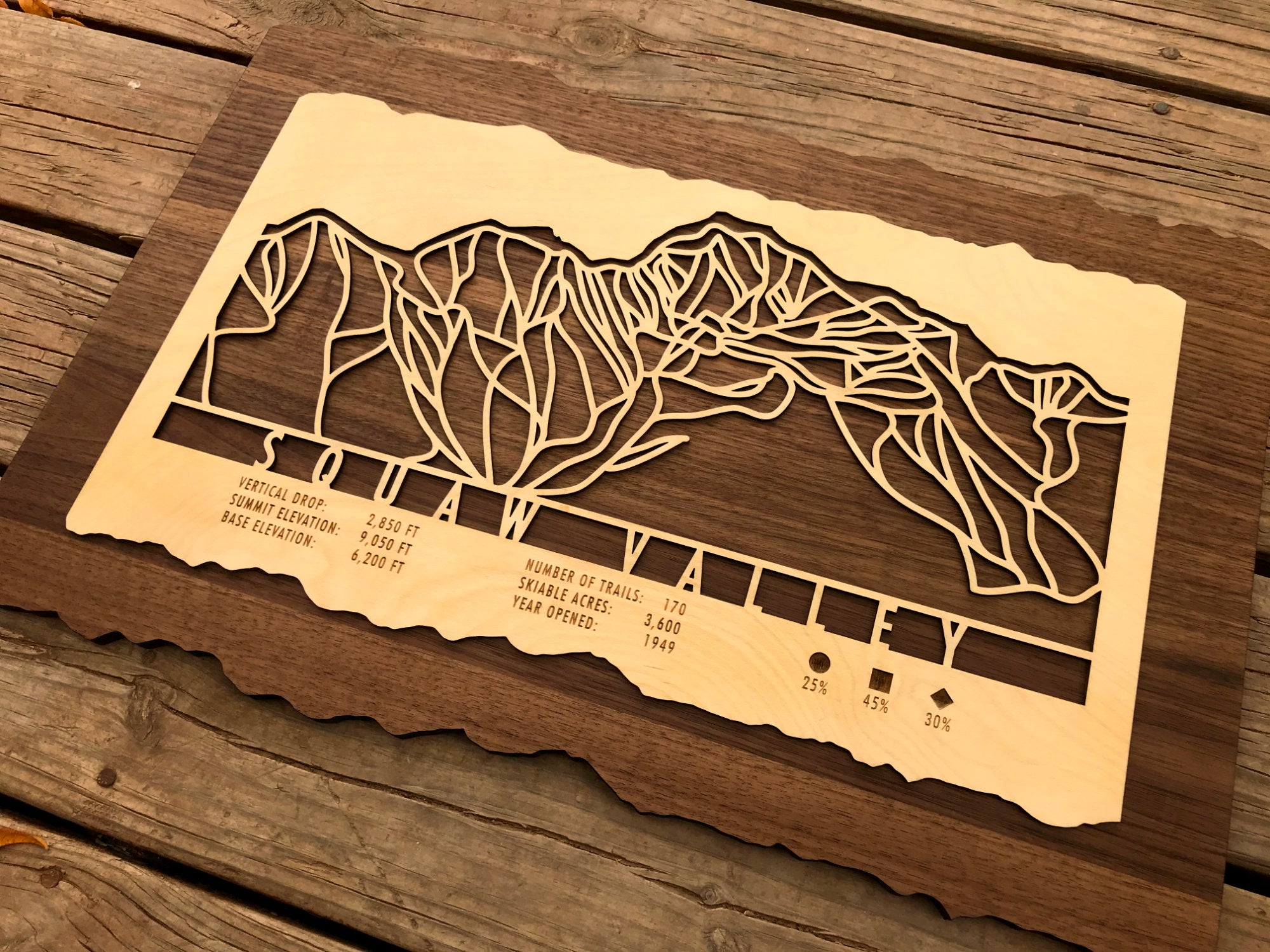Squaw Valley Ski Decor Trail Map Art - MountainCut