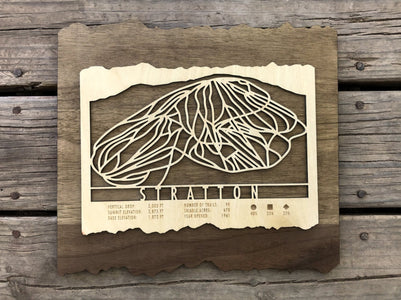 Stratton Ski Decor Trail Map Art - MountainCut